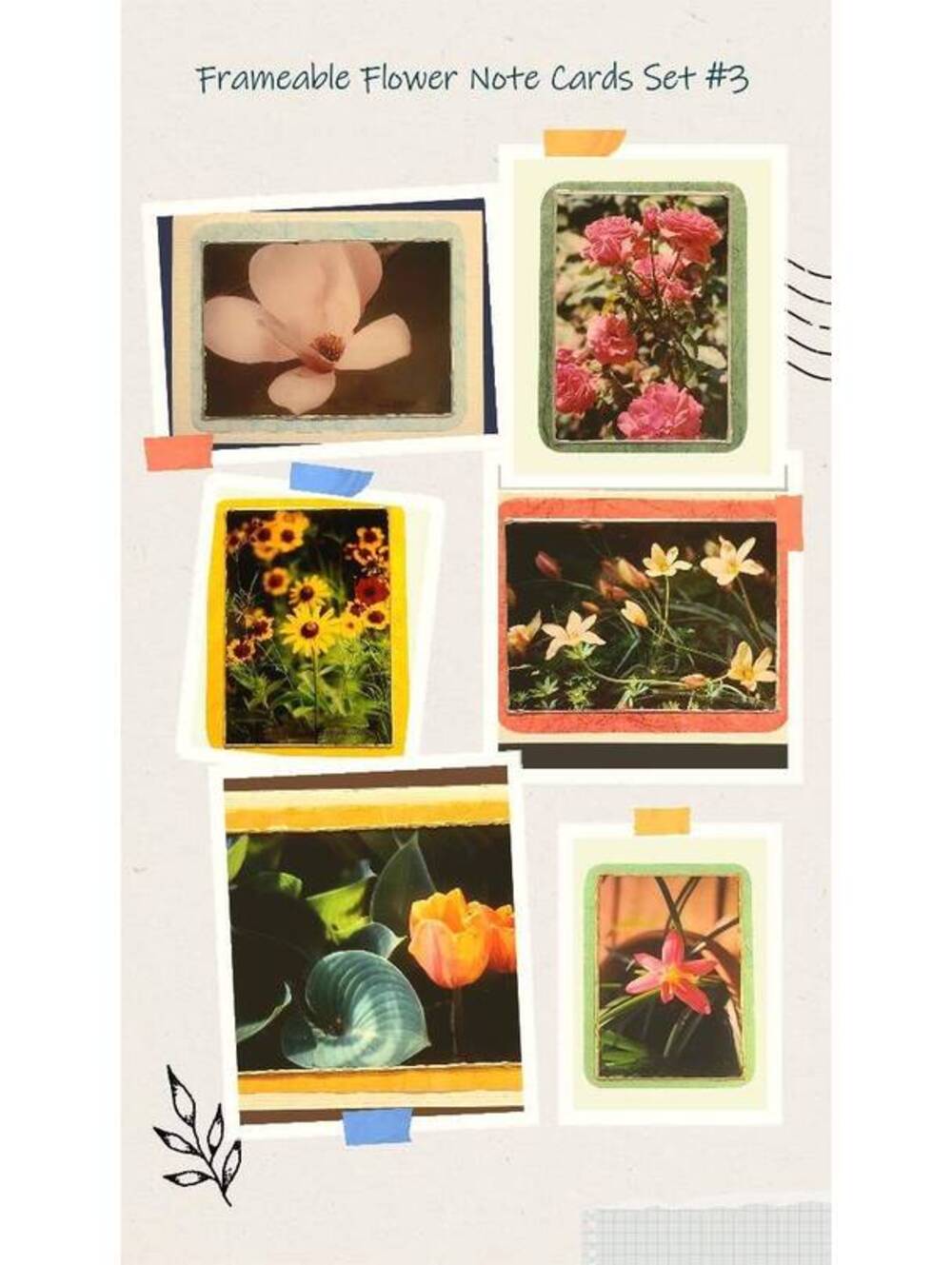 Flower Photo Note Cards: Frameable Art Cards, Set of 6